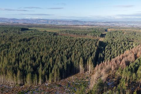 undefined, Inverernie Forest, Near Daviot, Inverness-shire IV2