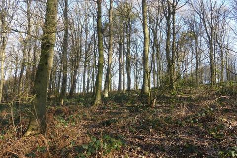 undefined, Broadoak Wood, Doncaster, South Yorkshire DN5