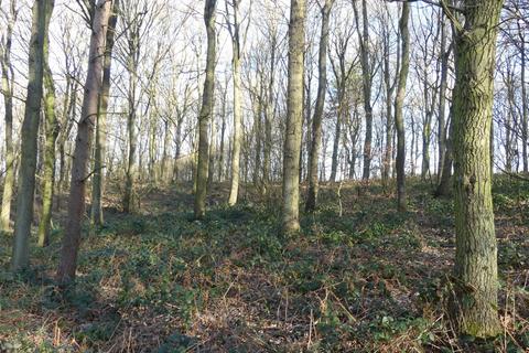 undefined, Broadoak Wood, Doncaster, South Yorkshire DN5