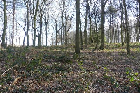 undefined, Broadoak Wood, Doncaster, South Yorkshire DN5