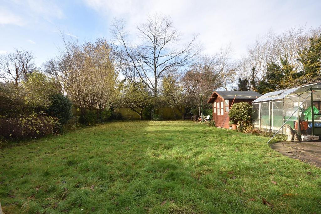 Dsc 0096.jpg