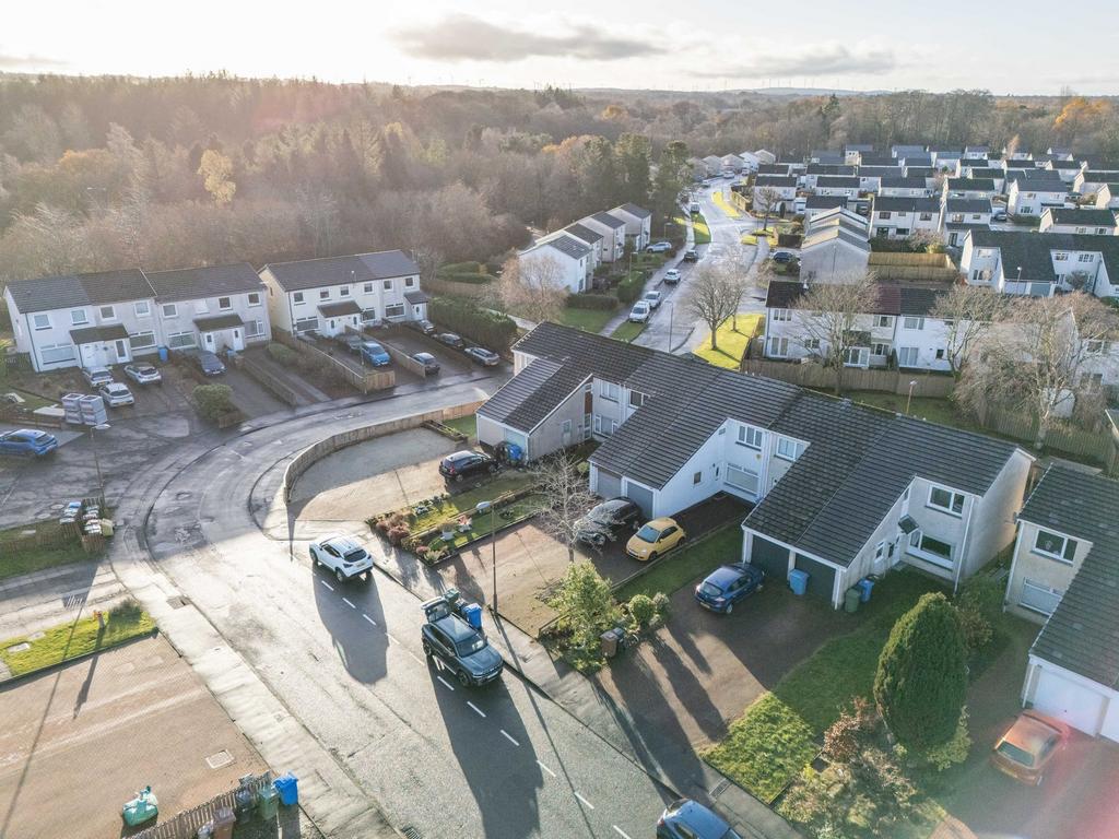 Aerial Shot
