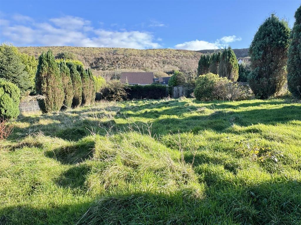 Rear Field