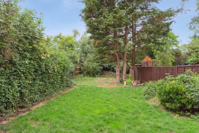 237941 5860af71-ff37-4b96-9c6a-9e1576b9e974 IMG 10