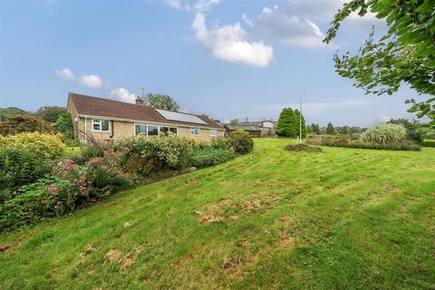 undefined, Marsh, Honiton