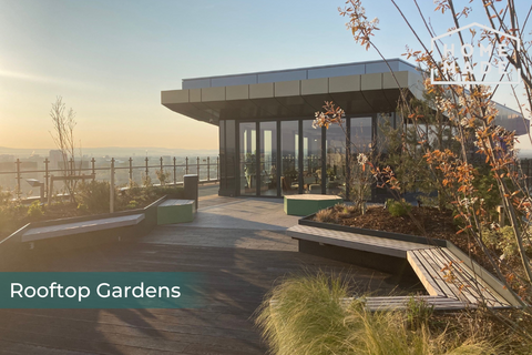 undefined, Vox, Trentham Street, M15