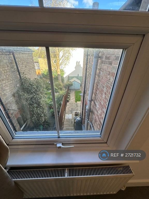 Room 3: Window View