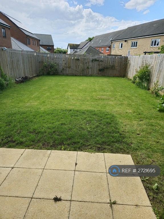 Back Garden View