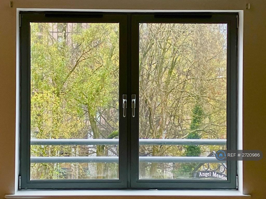 Park View From Living Room