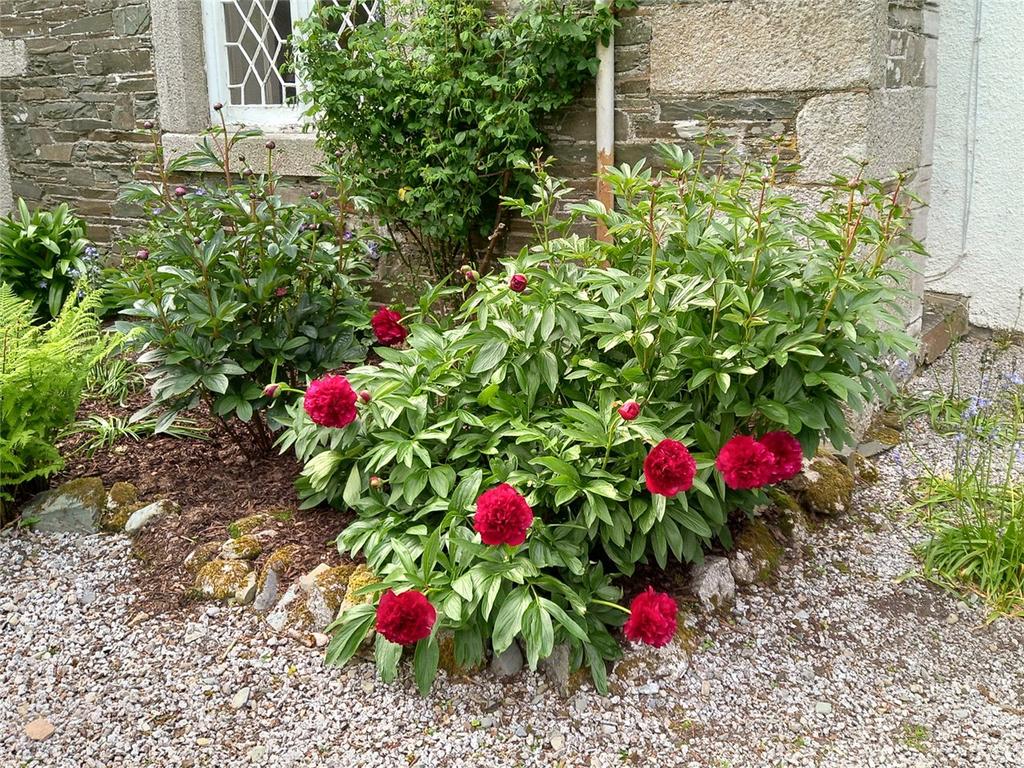 Garden In Spring