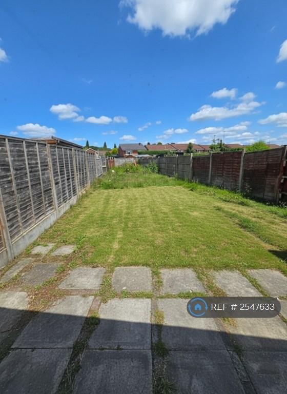 Back Garden