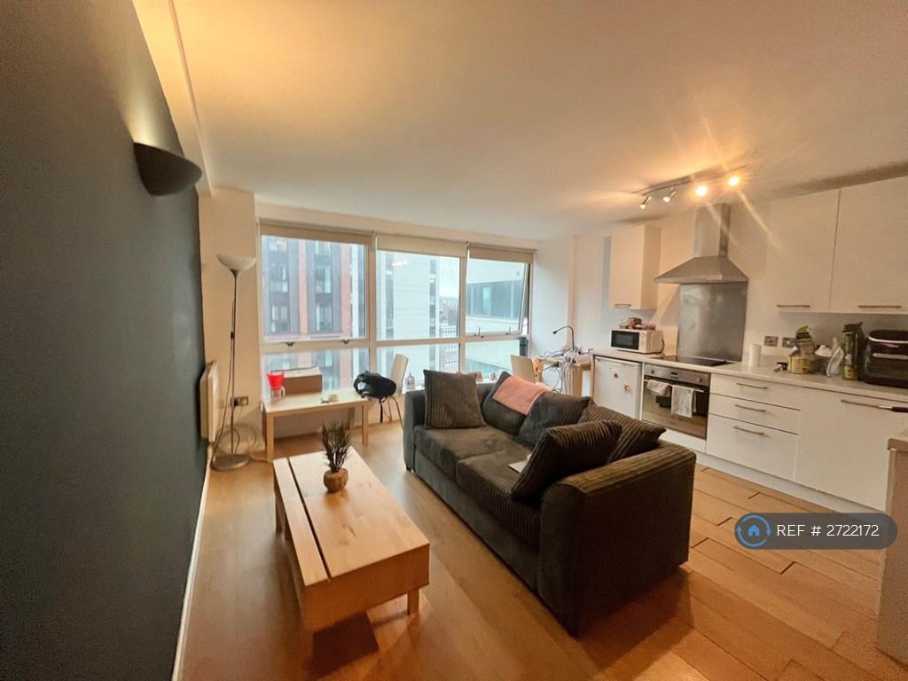 Living / Kitchen Area