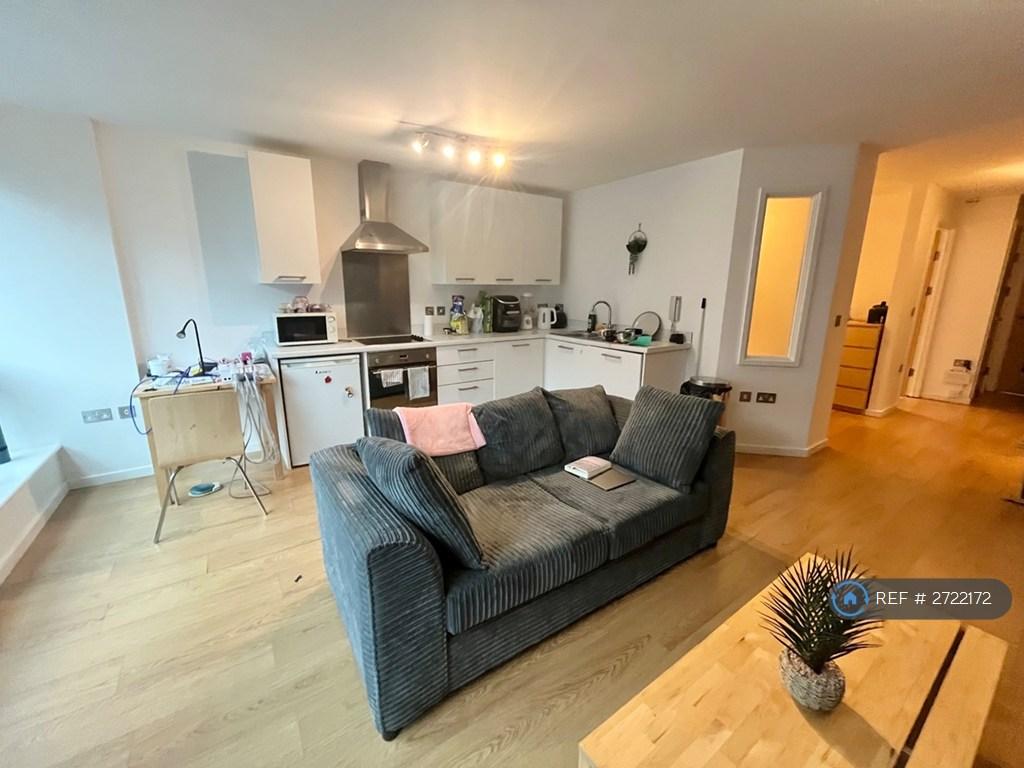 Living / Kitchen Area