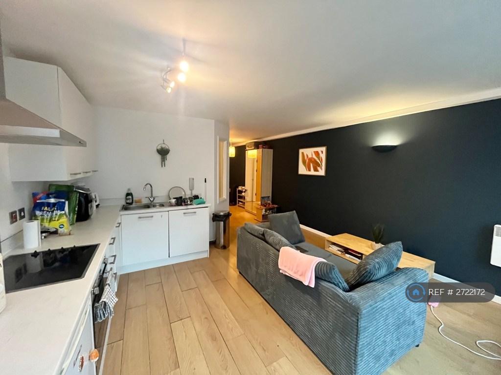 Kitchen / Living Area