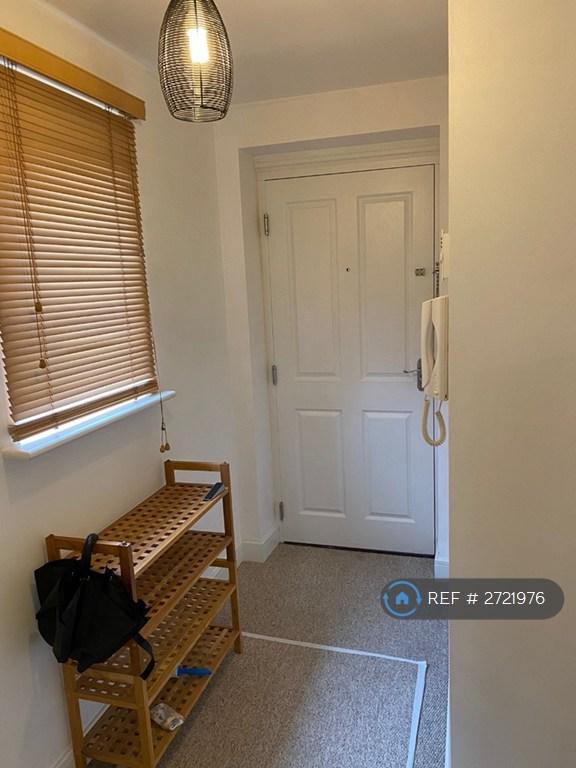 Hallway & Front Door