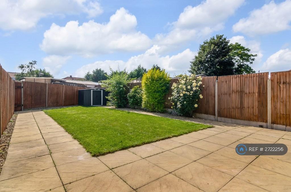 Back Garden