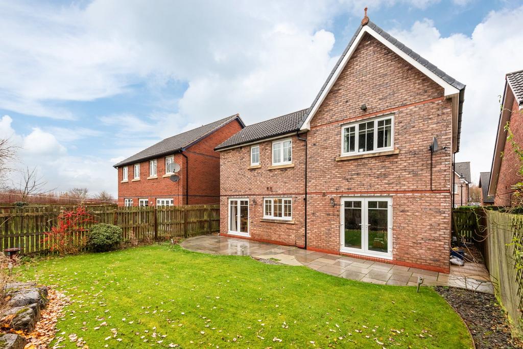 Rear of the Property