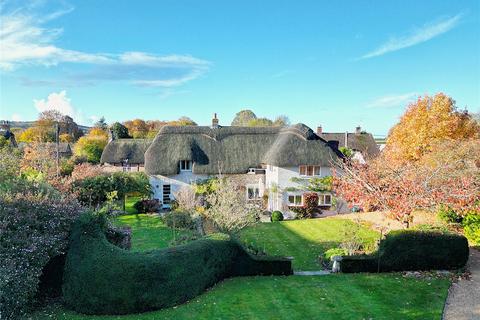 Martin, Fordingbridge, Hampshire, SP6
