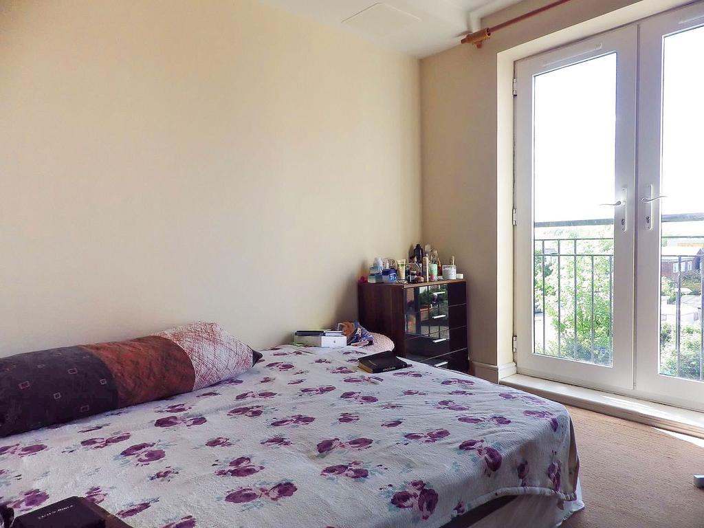Picture 8