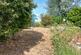 Widford Road, Much Hadham photo 5
