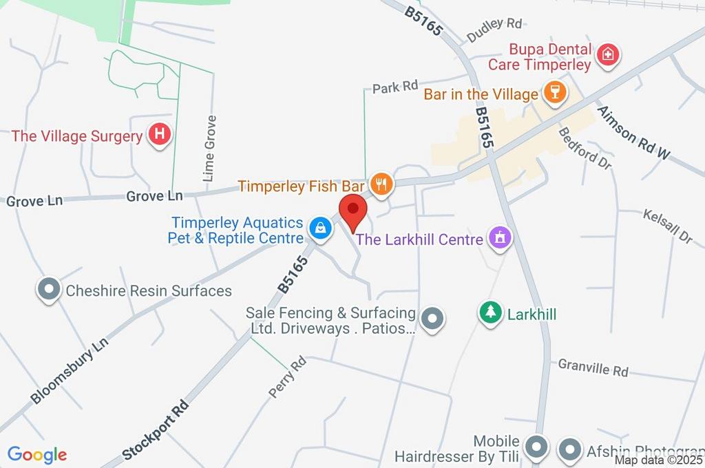 Google Maps Image