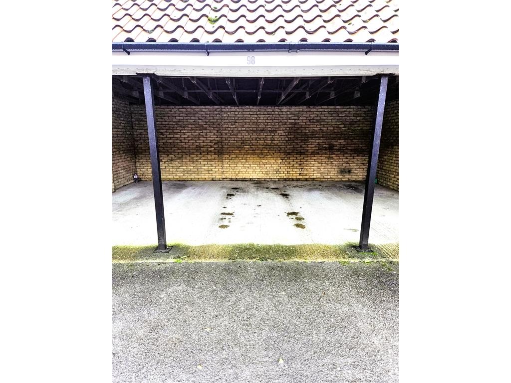 Rear Gardens