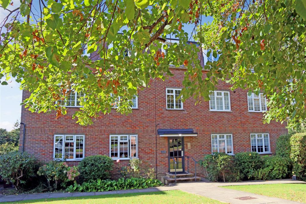 IMG6205 DP dp 23269564.jpg