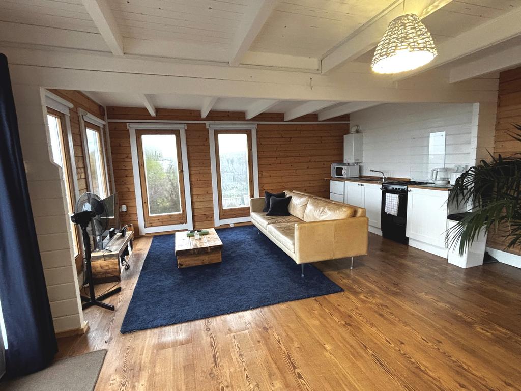 Cabin - Lounge/Kitchen area