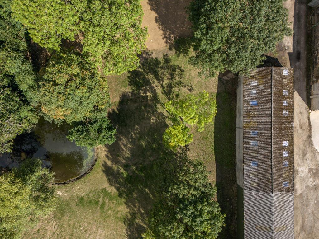 Plumbley Hall Farm