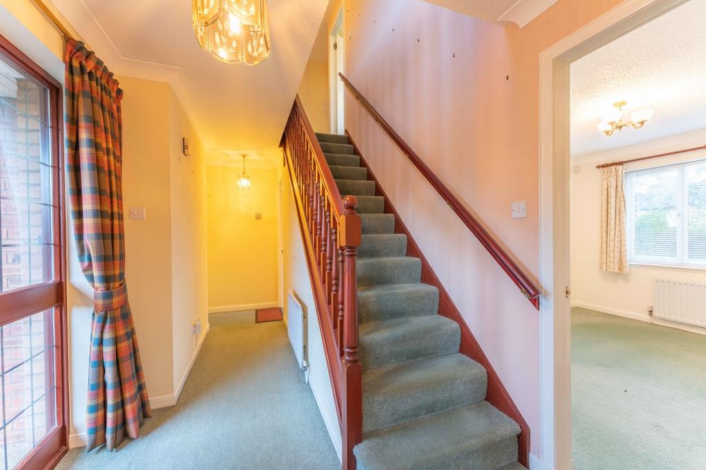 Downstairs Hallway