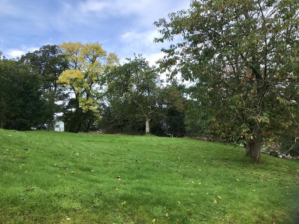 Img 0640