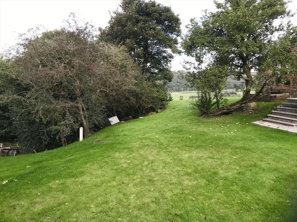 Img 0642
