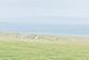 Additional image 6 of 100% FREEHOLD BEACH OVER 2 ACRES, Veantrow Bay, Orkney KW17