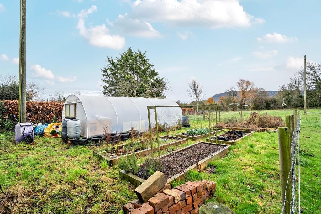 Vegetable beds with polytunel.jpg