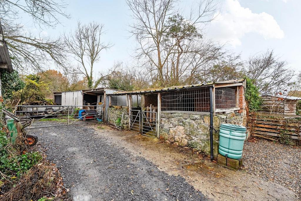 Pigsty and shed.jpg