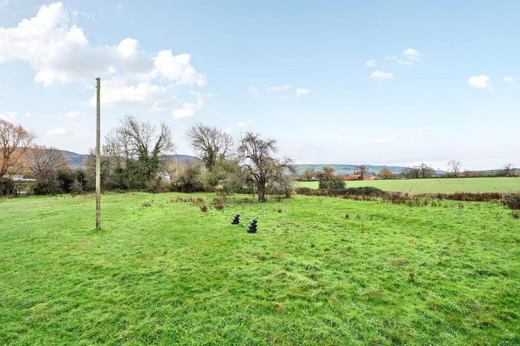 Ground 4.jpg