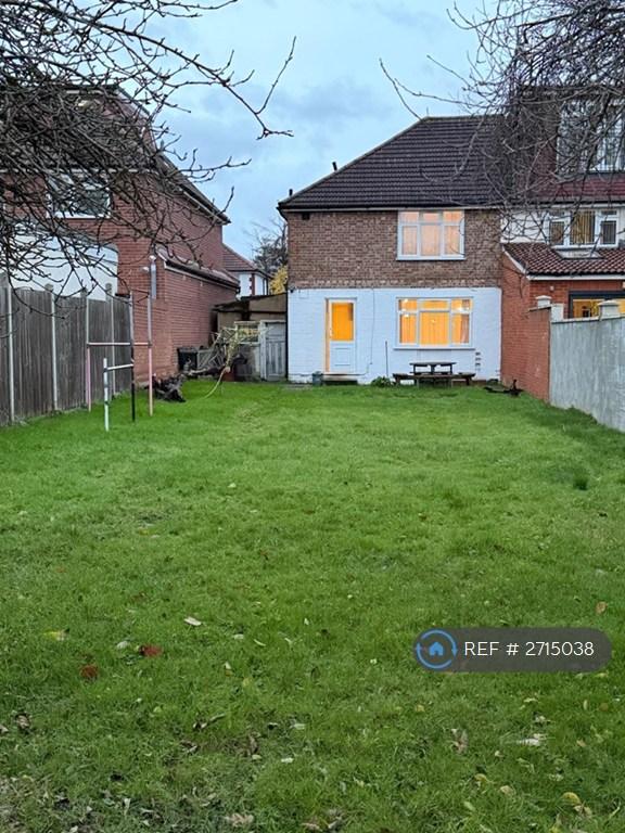 Back Garden