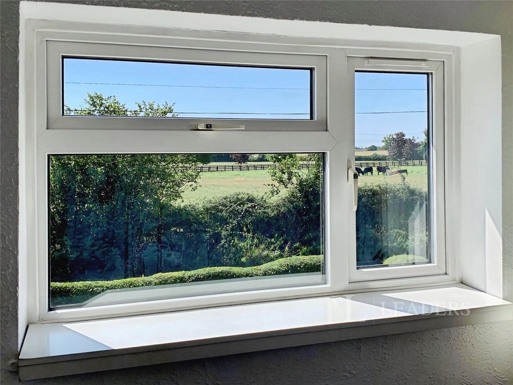 View From Window