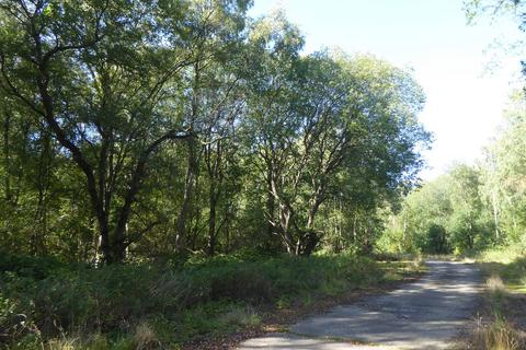 undefined, Anson Wood, Tranwell, Morpeth, Northumberland NE20