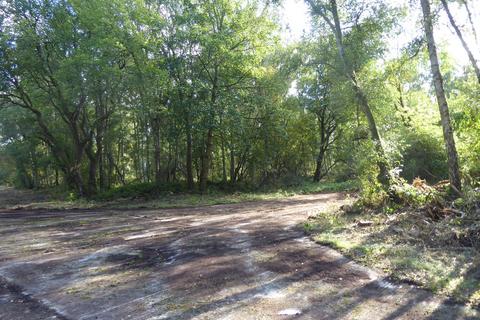 undefined, Anson Wood, Tranwell, Morpeth, Northumberland NE20