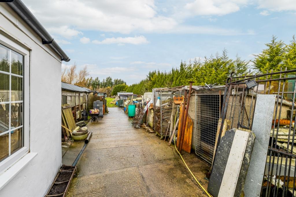 White House (Boston)-15