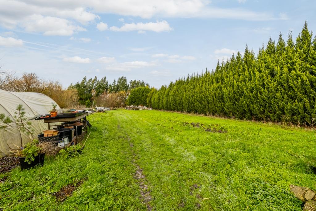 White House (Boston)-21