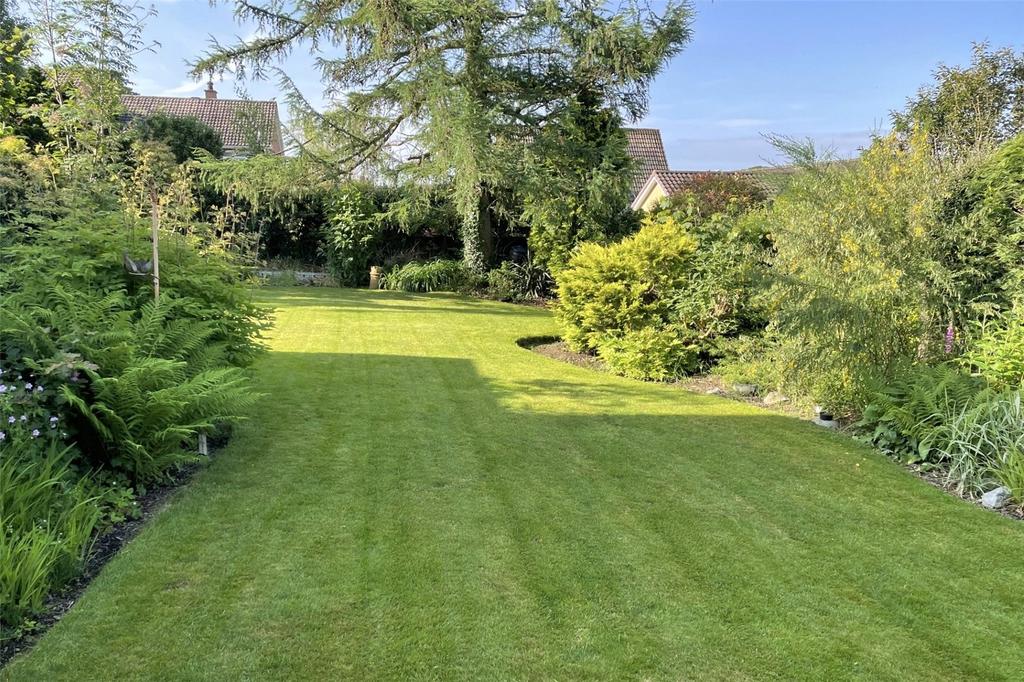 Summer Garden