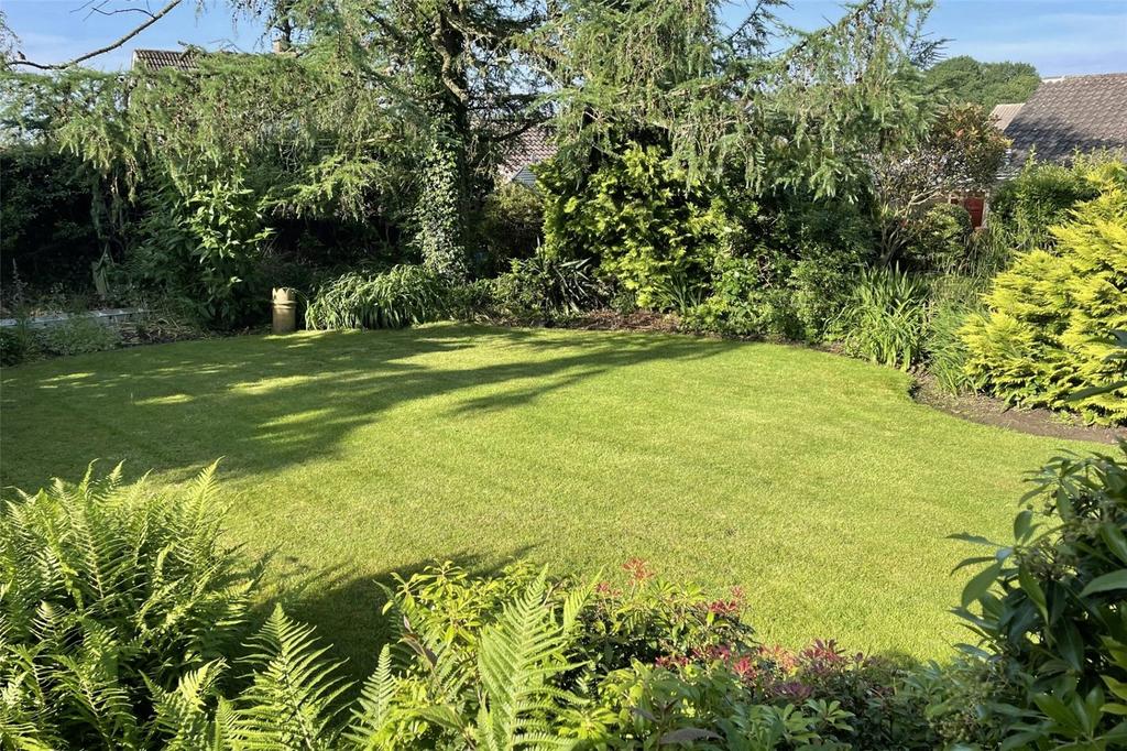 Summer Garden