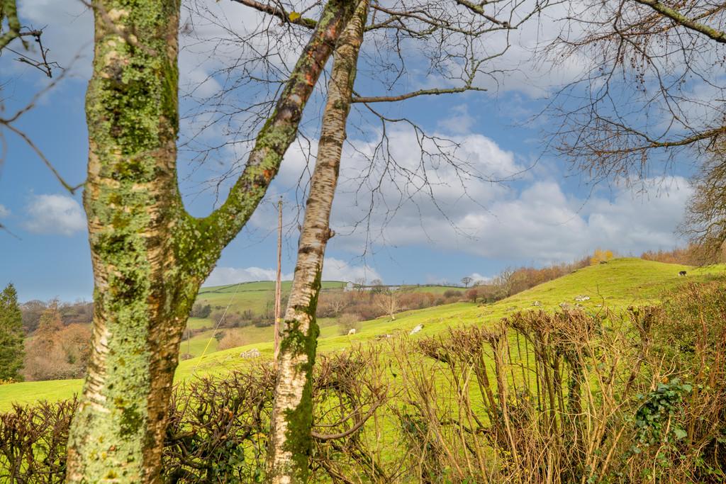 Views down the Valley