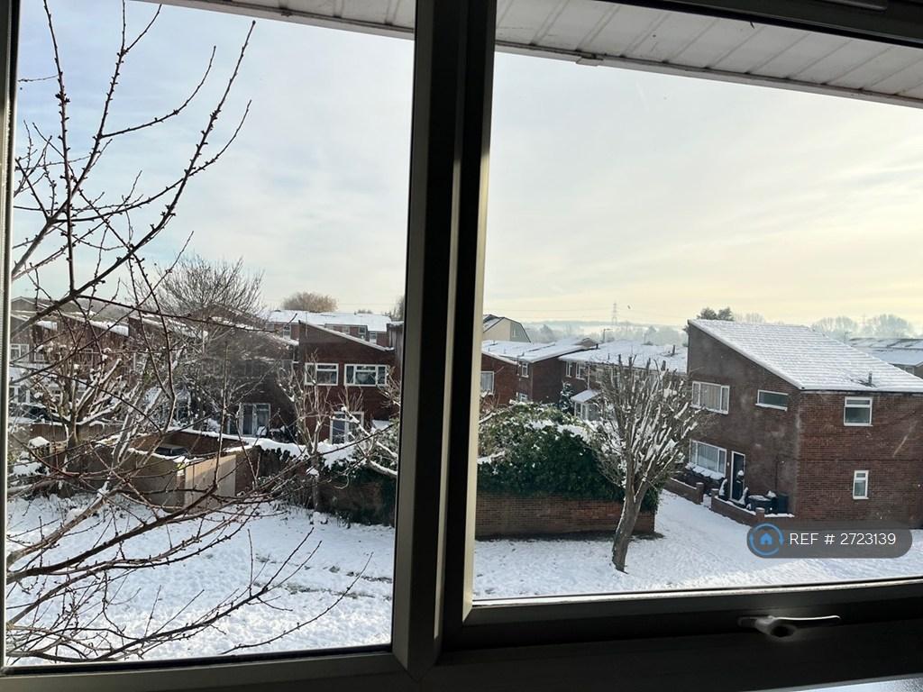 View From Window