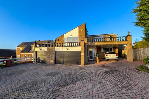 undefined, Fatfield Park, Washington NE38