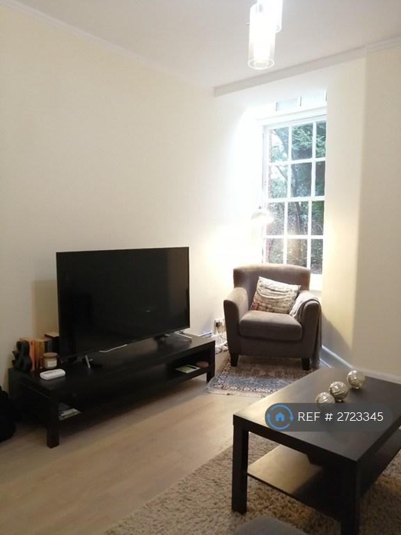 Lounge/Guest Bedroom