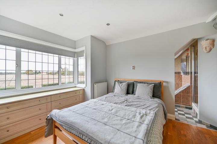 Chpk0502149 large-13-12 jpg