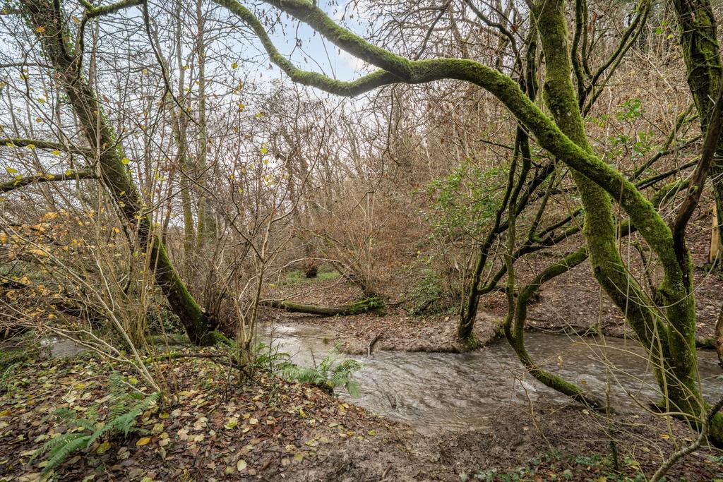 1388111-4-6936e23cbc856